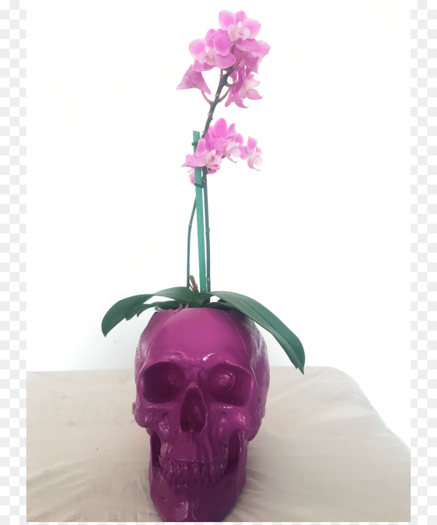 Flor，Flowerpot PNG