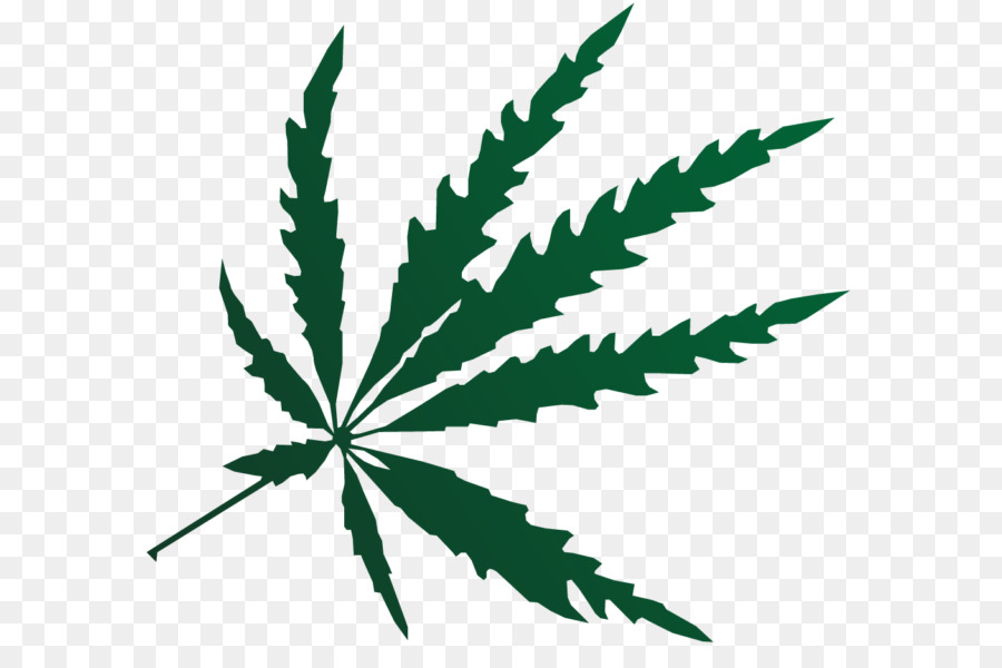 Folha De Cannabis，Maconha PNG