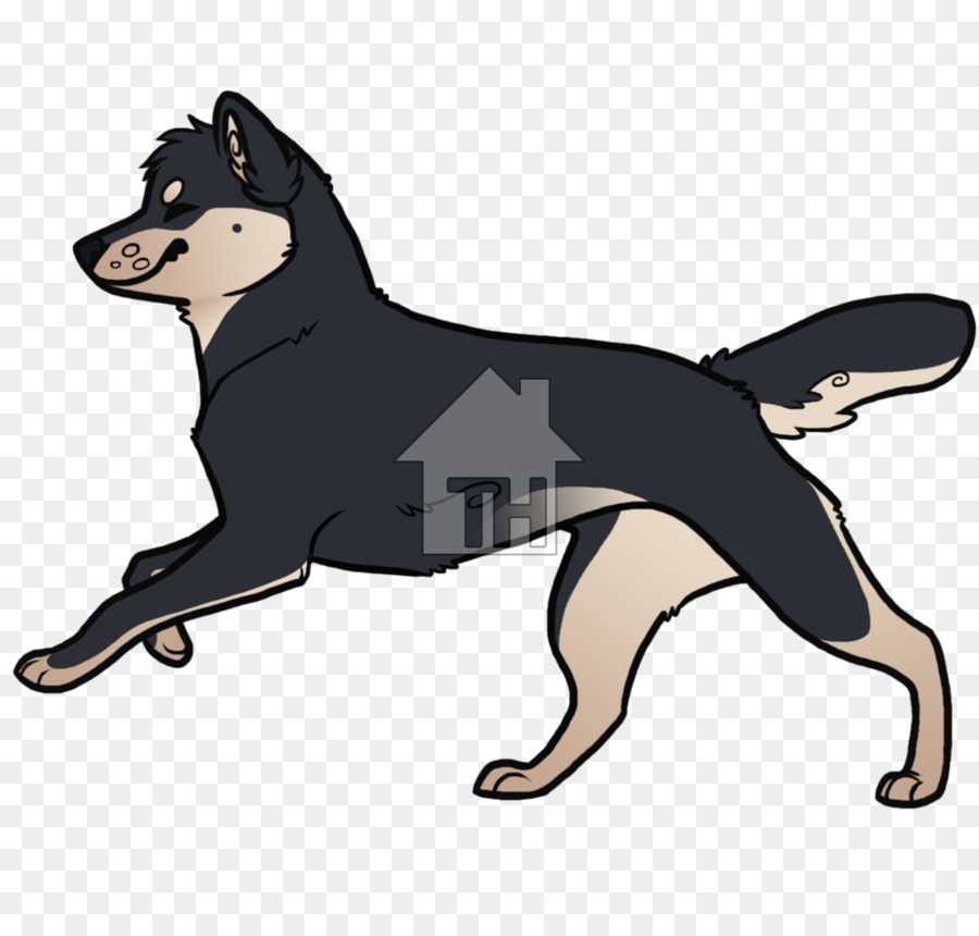 Kelpie Australiano，Filhote De Cachorro PNG