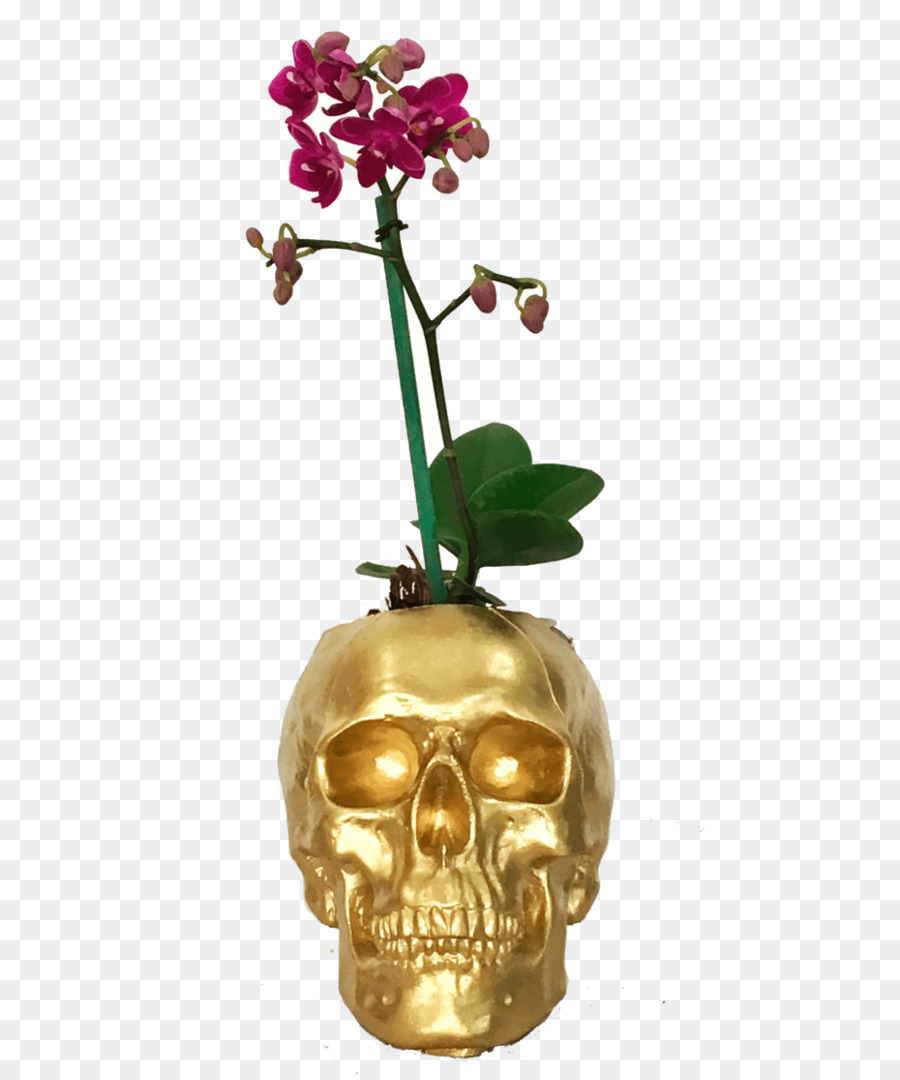 Traça Orquídeas，Vaso PNG