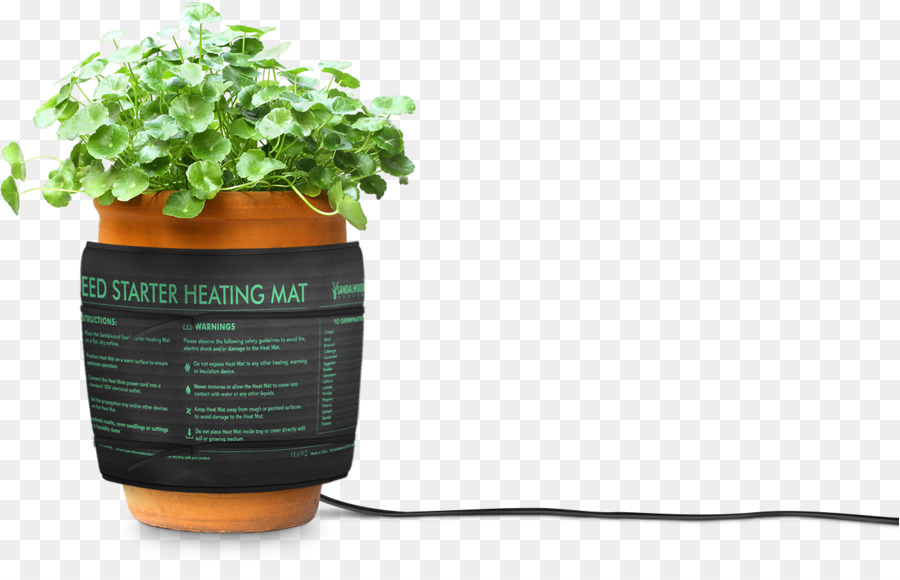 Erva，Flowerpot PNG