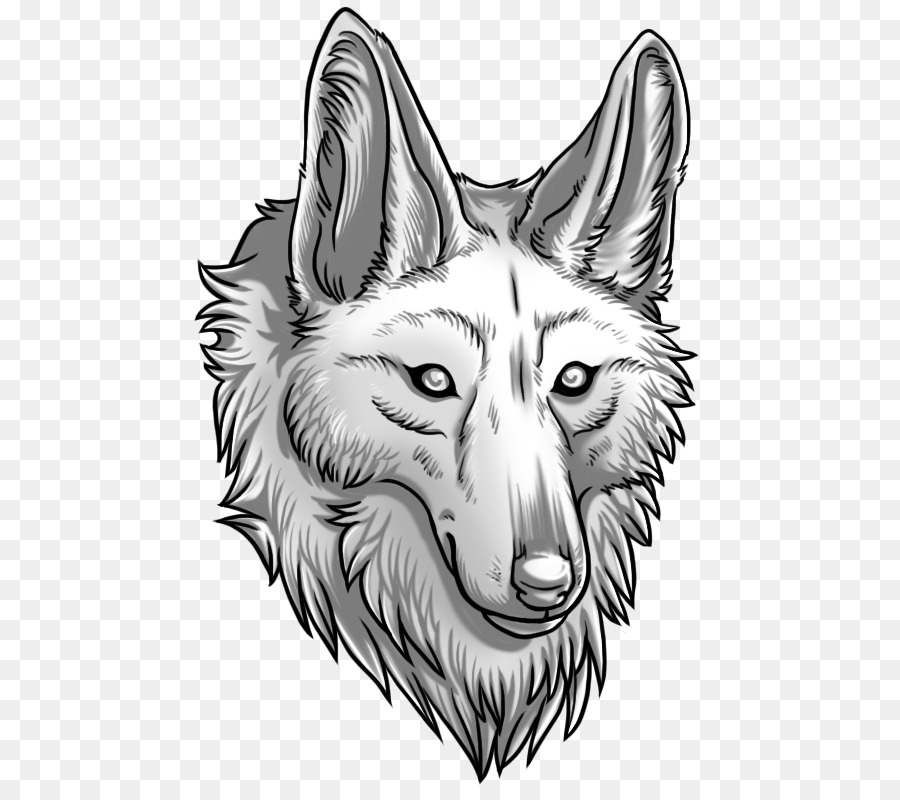 Coyote，Cachorro PNG