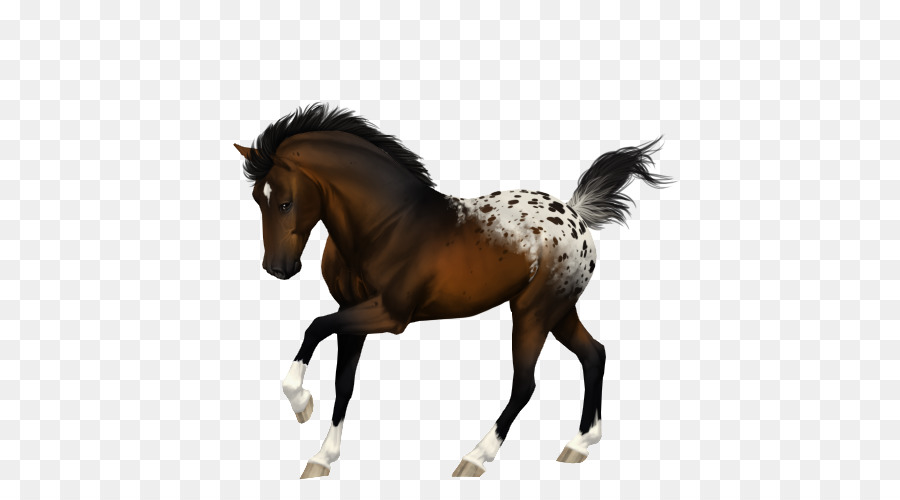 Cavalo Marrom，Equino PNG