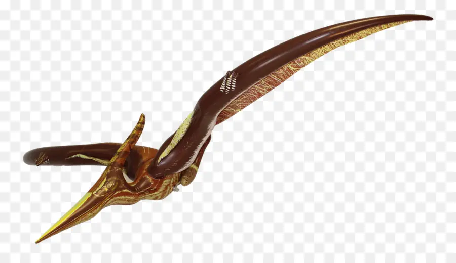 Pteranodon，Pterodáctilo PNG