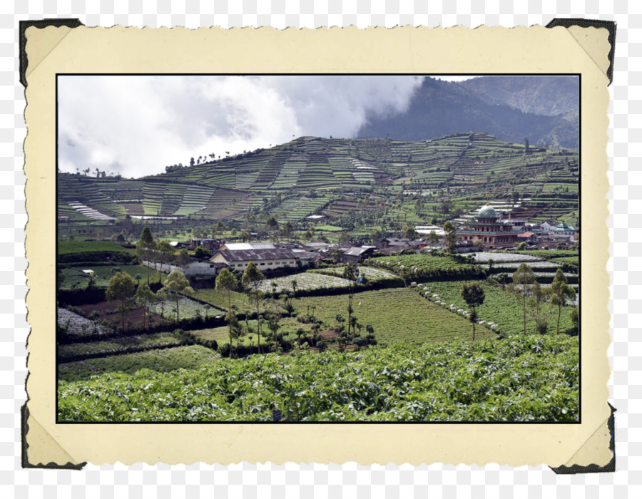 Dieng，Planalto PNG