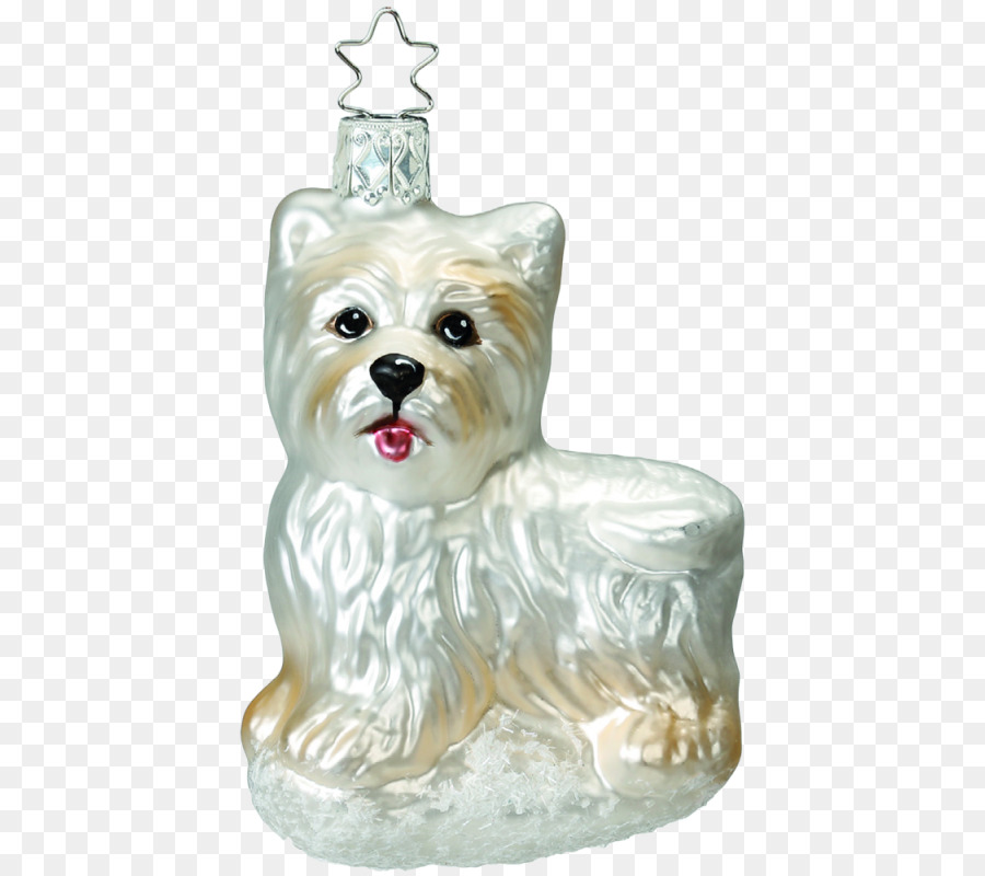 Yorkshire Terrier，West Highland White Terrier PNG