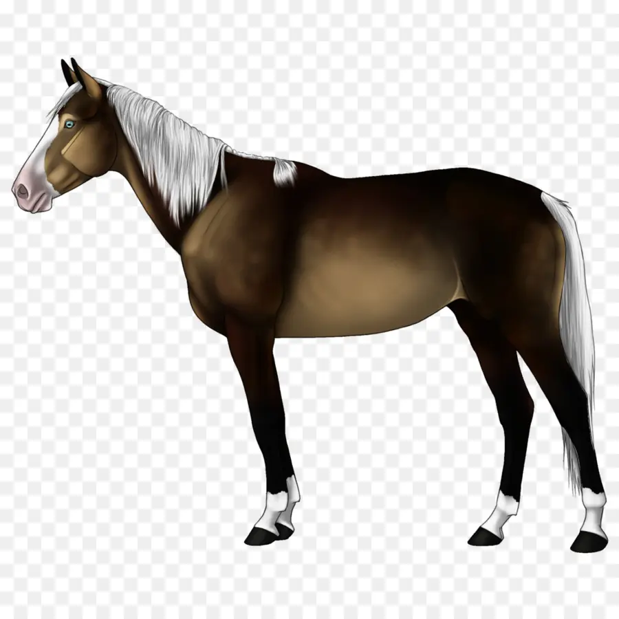 Cavalo Cinzento，Equino PNG