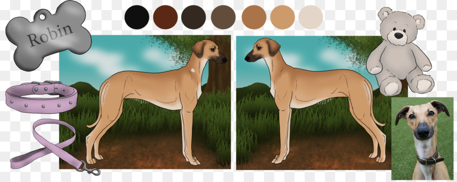 Whippet，Italian Greyhound PNG