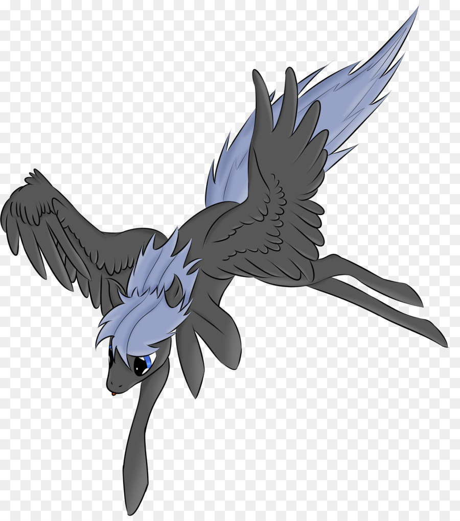 Bico，Aves PNG