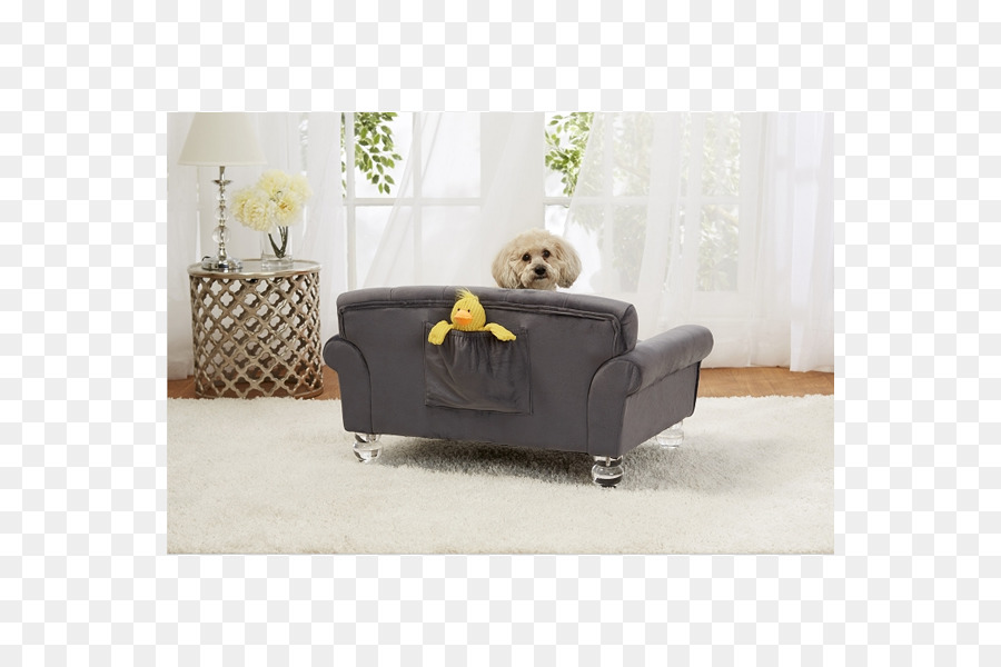 Daybed，Cachorro PNG