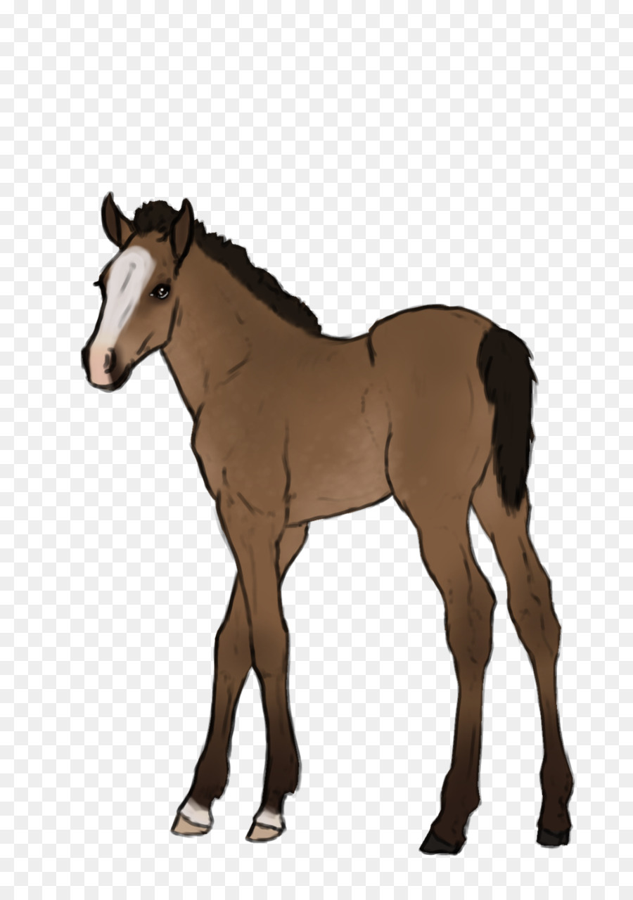 Mustang，Potro PNG