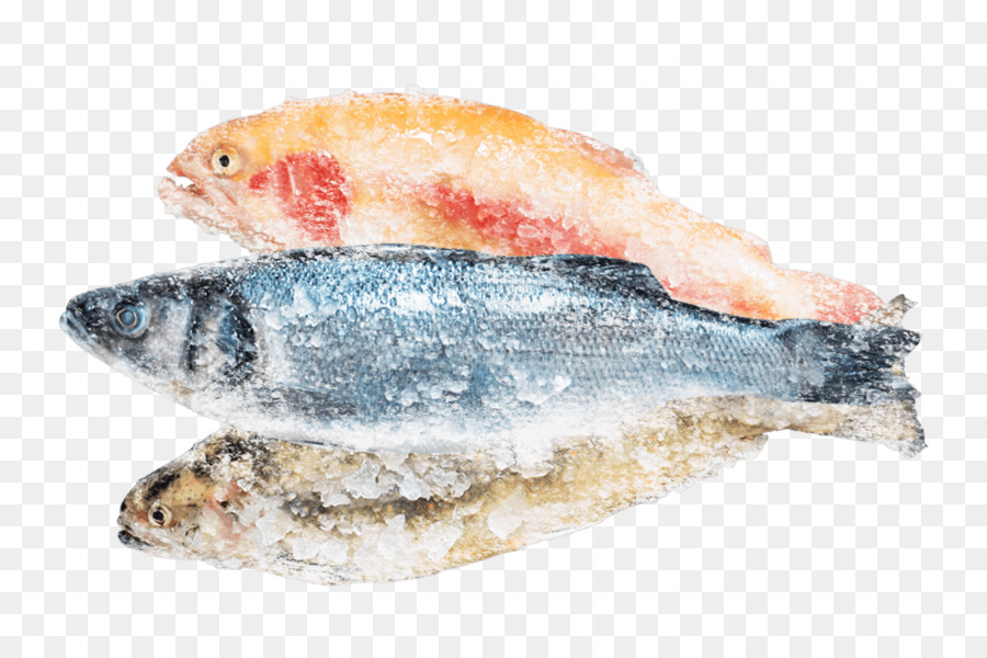 Sardinha，Produtos De Peixe PNG