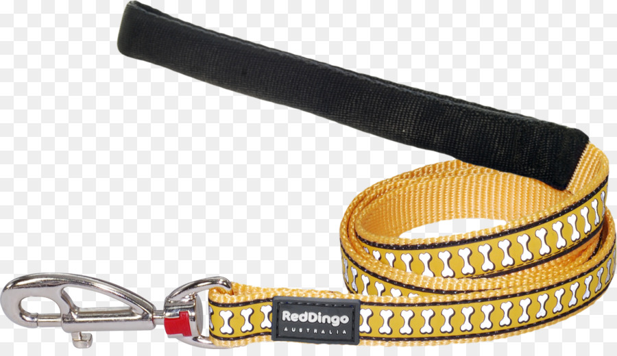 Leash，Cachorro PNG