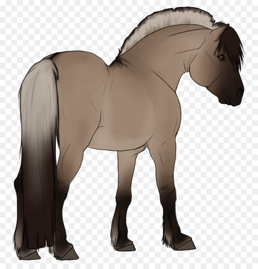 Cavalos，Potro PNG