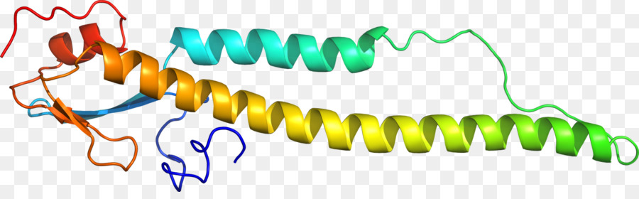 Corda Colorida，Torcido PNG