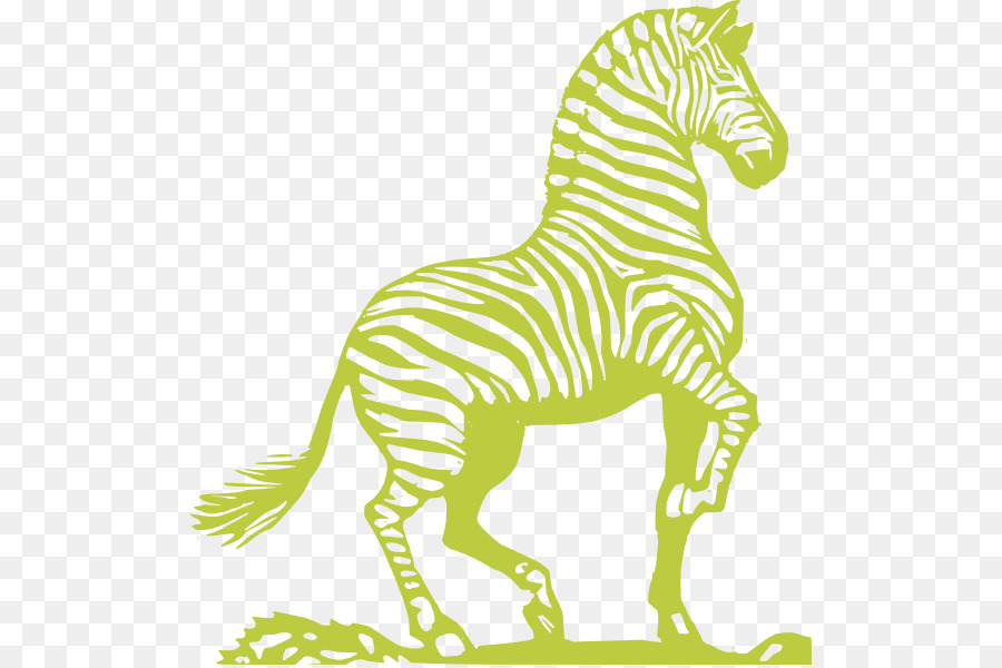 Zebra，Cavalo PNG