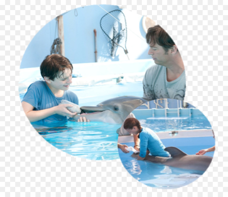 Clearwater Marine Aquarium，Dr Clay Haskett PNG