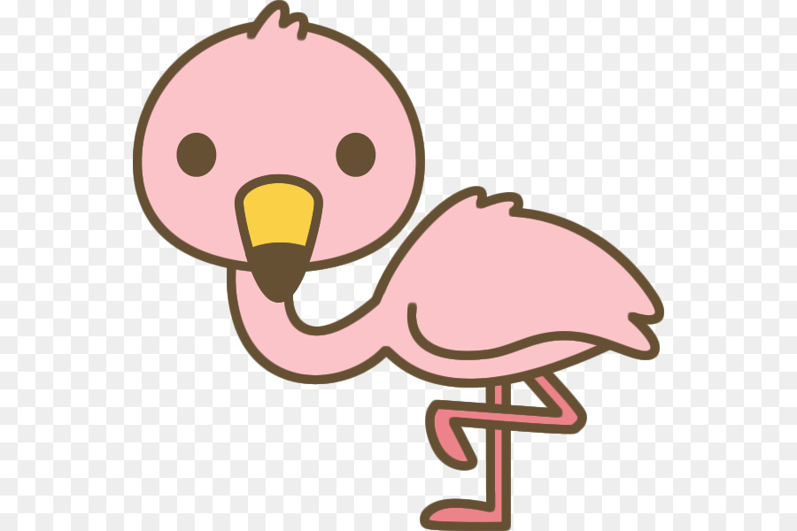 Flamingos，Aves PNG