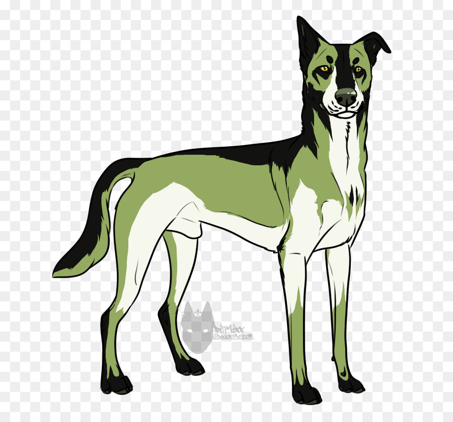 Raça Do Cão，Cachorro PNG