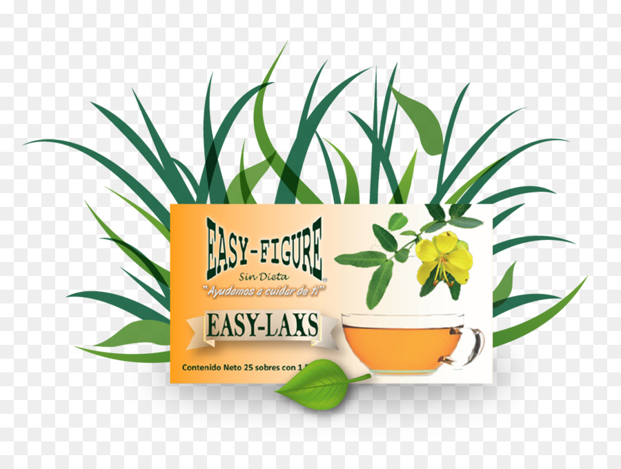 Erva，Herbalism PNG