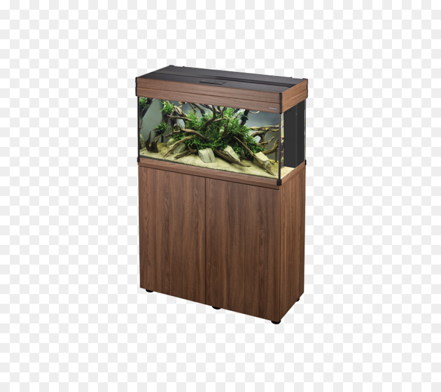 Aquário，Aquariofilia PNG