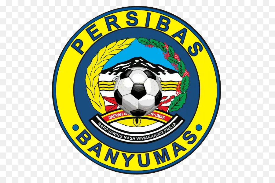 Persibas Banyumas，Futebol PNG