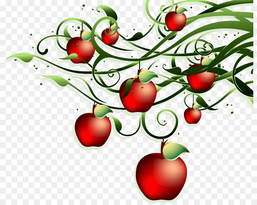 Apple，Tomate PNG