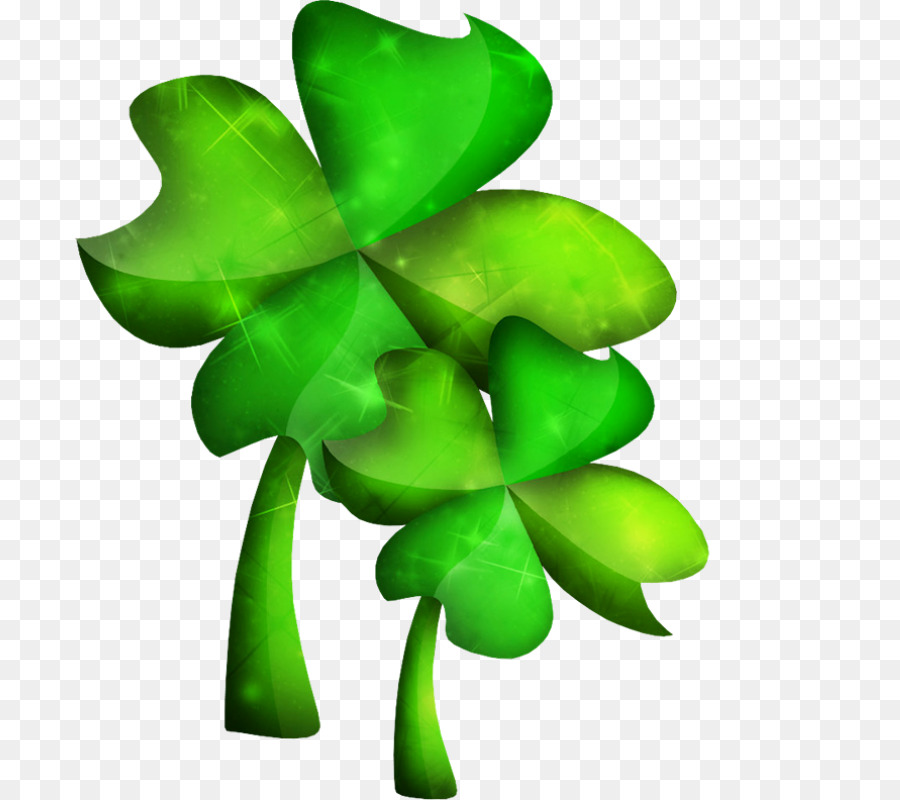 Folha，Shamrock PNG