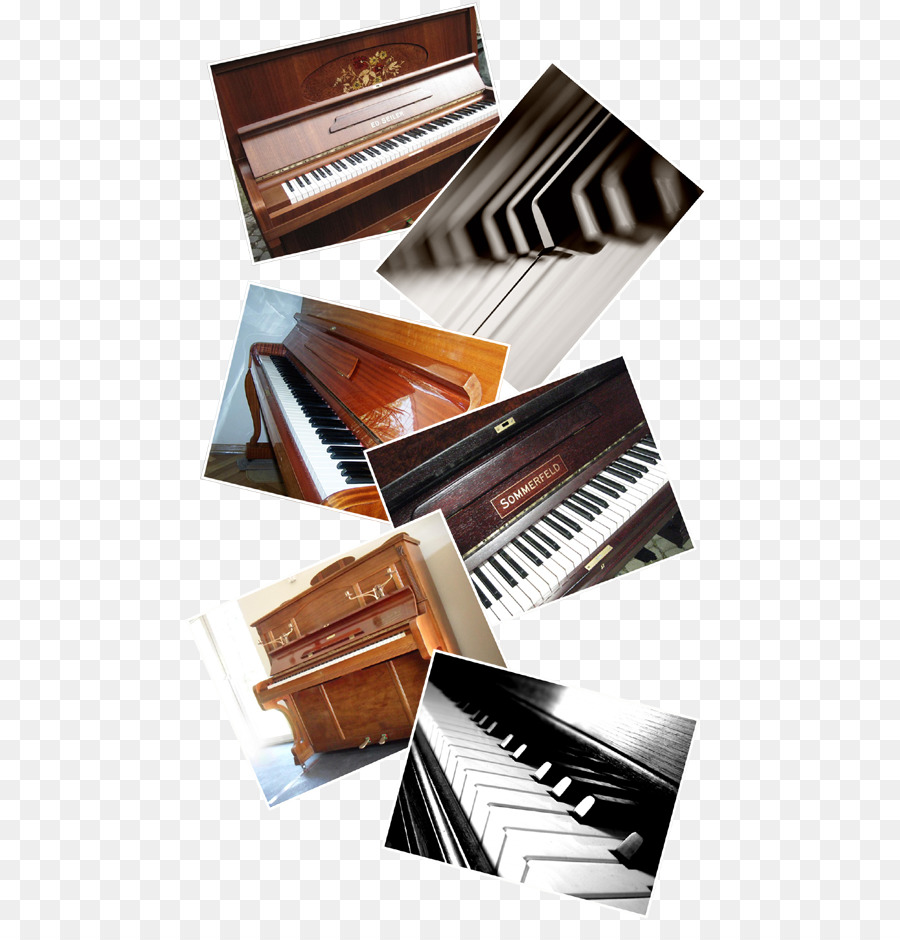 Fortepiano，Leitor De Piano PNG