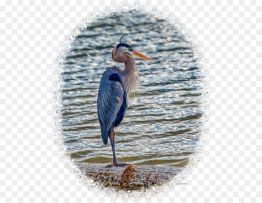 Heron，Guindaste PNG