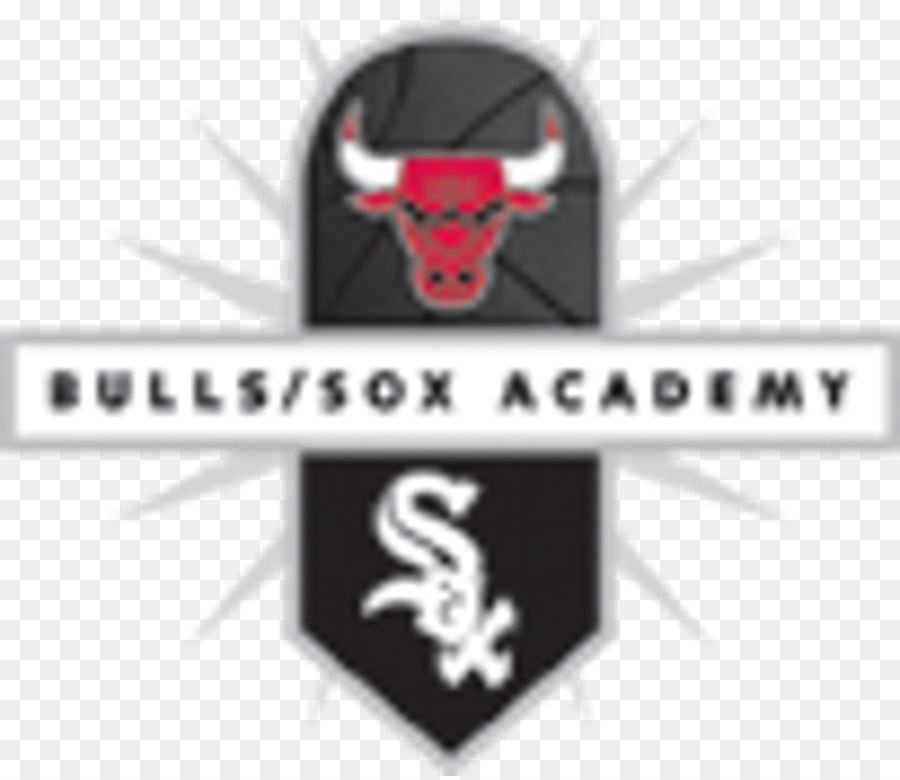 Chicago Bulls，Bullssox Academia PNG