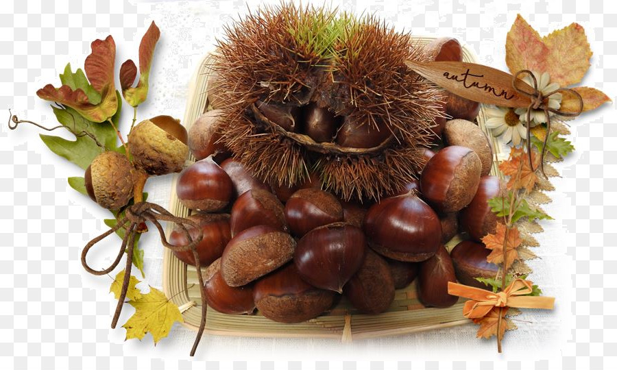 Chestnut，Alimentos PNG