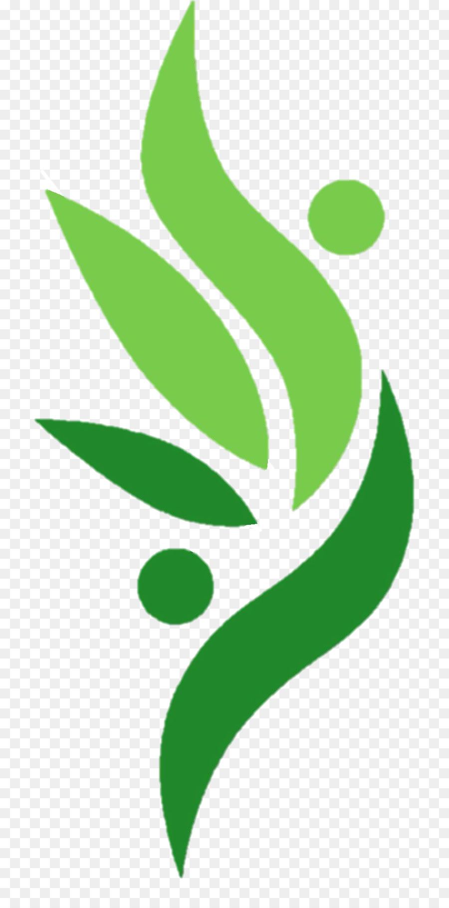 Folha Verde，Natureza PNG