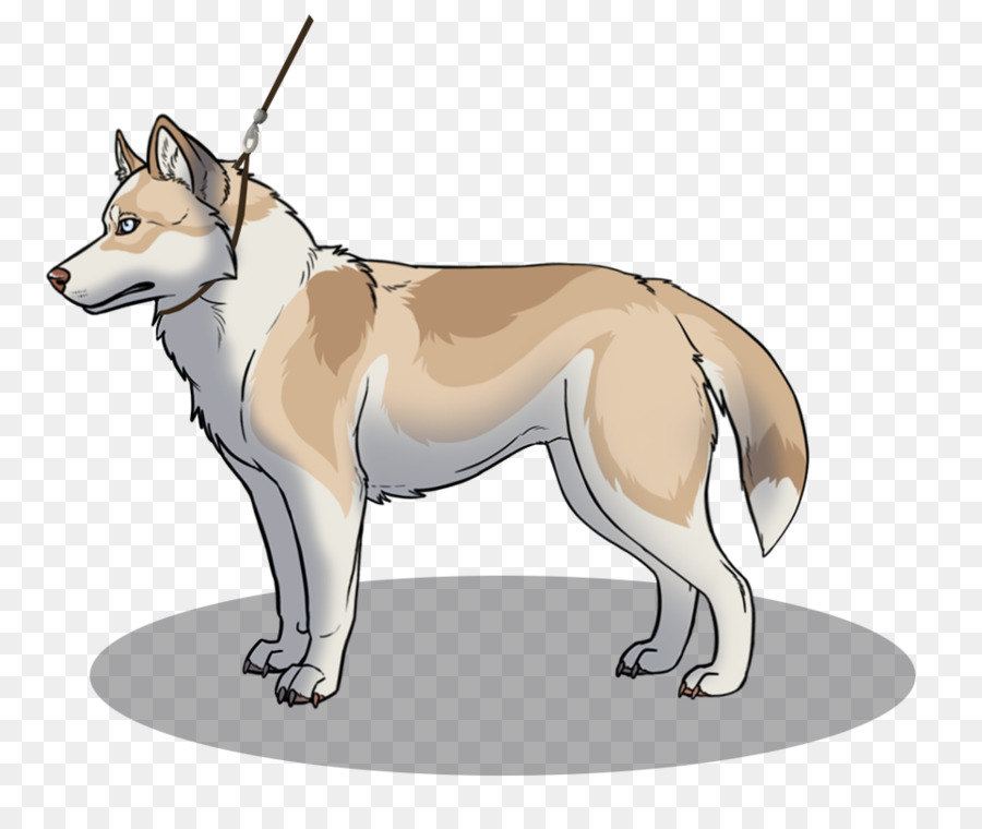 Saarloos Wolfdog，Checoslováquia Wolfdog PNG