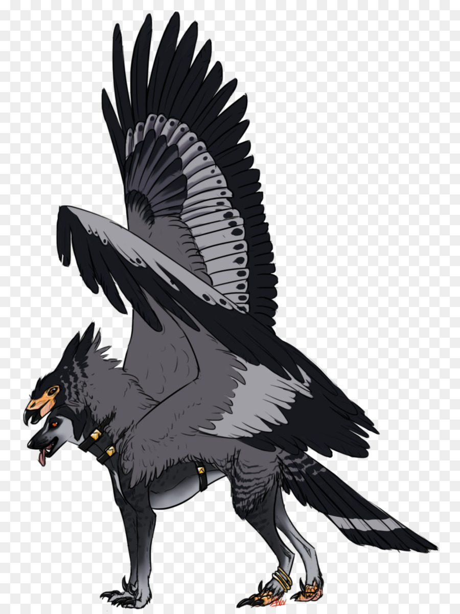 águia Careca，Urubu PNG