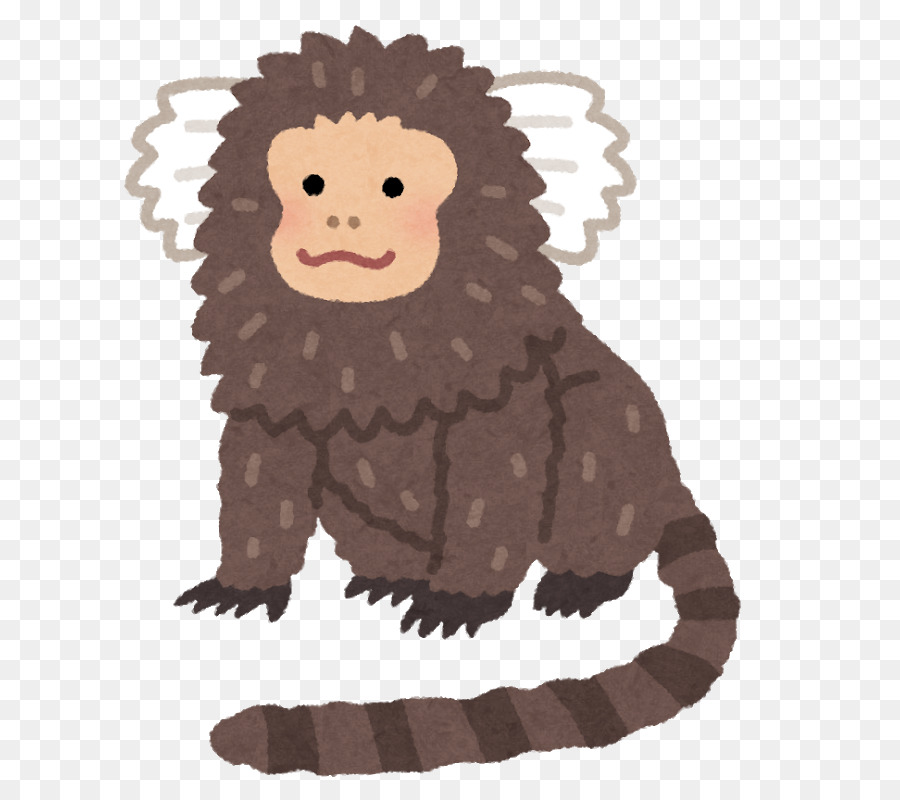 Macaco，De Primatas PNG