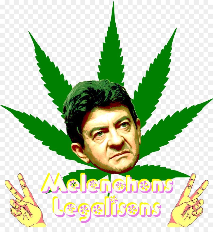 Cannabis，Desenho PNG