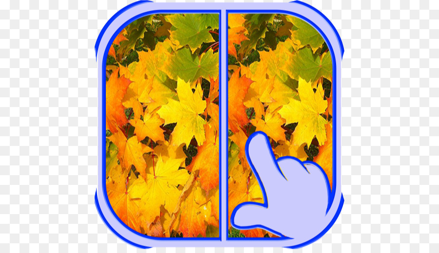 Maple Leaf，Outono PNG