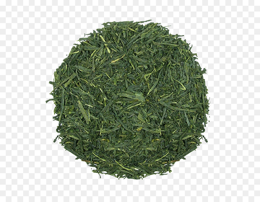 Gyokuro，Escarola PNG