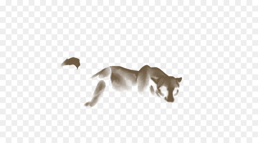 Gato，Leão PNG