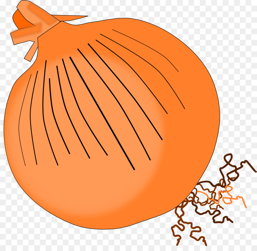 Cebola Laranja，Comida PNG