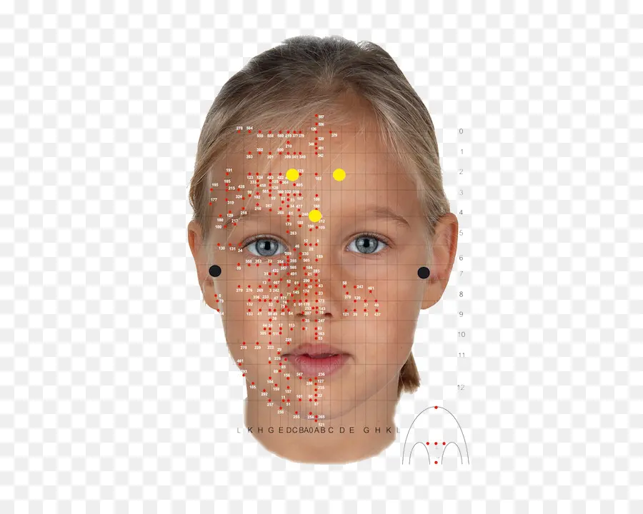 Face，Pontos PNG