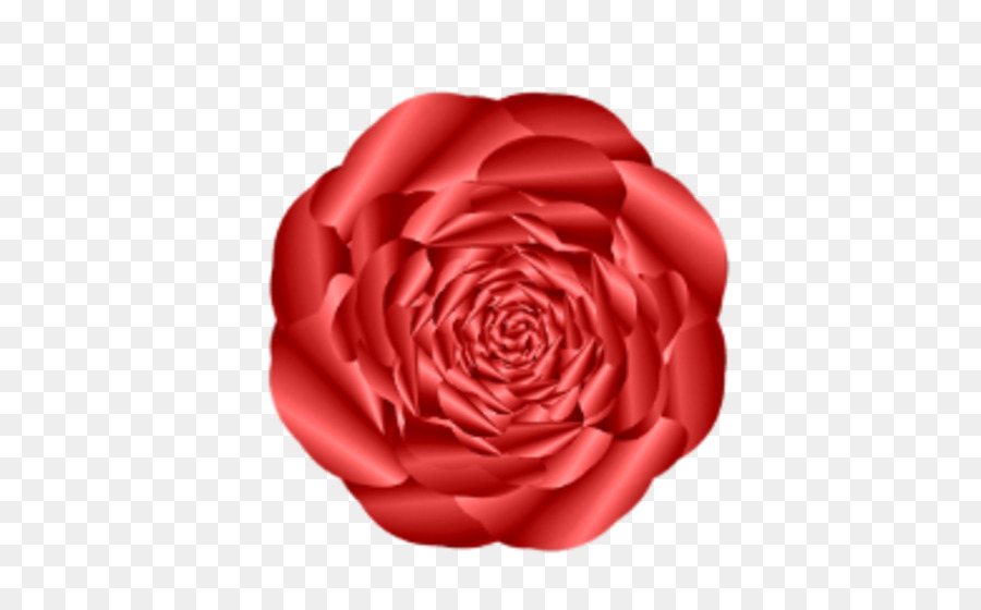 Rosa Vermelha，Florescer PNG