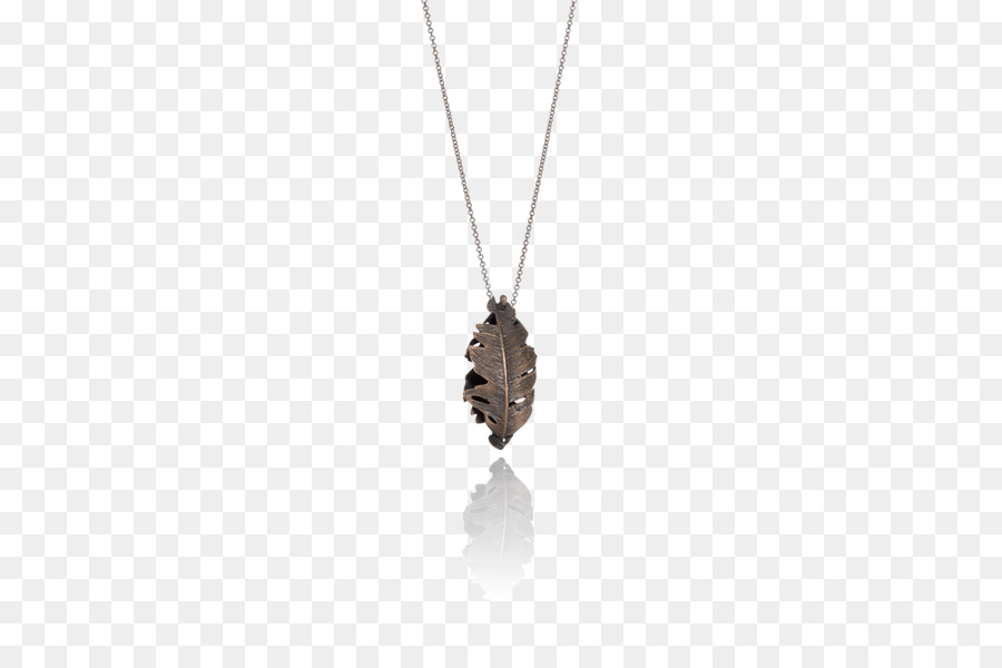 Medalhão，Necklace PNG