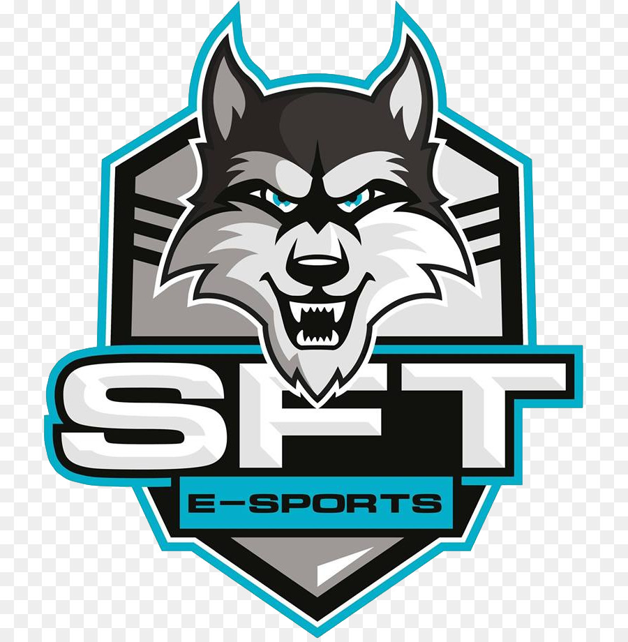 Sft Esports，Dota 2 PNG