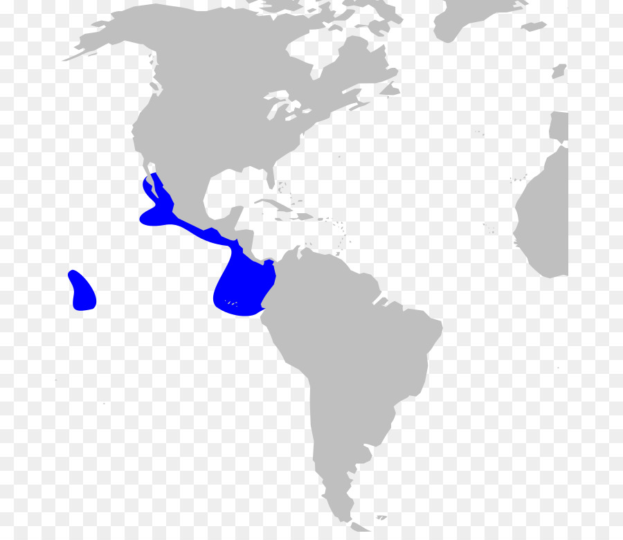 Império Espanhol，A Colonização Espanhola Das Américas PNG