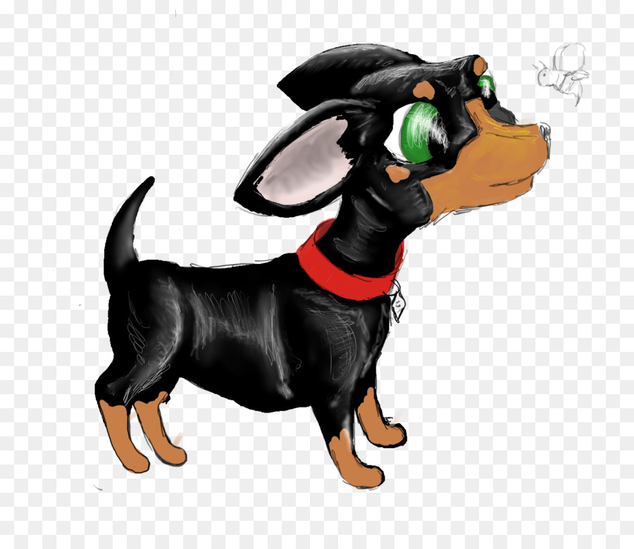 Dachshund，O Manchester Terrier PNG