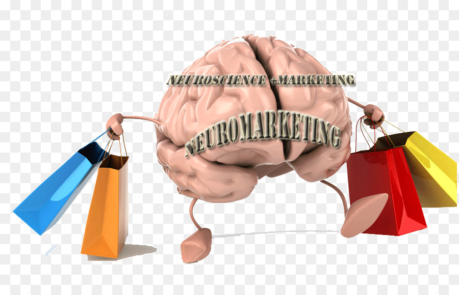 Neuromarketing，Marketing PNG