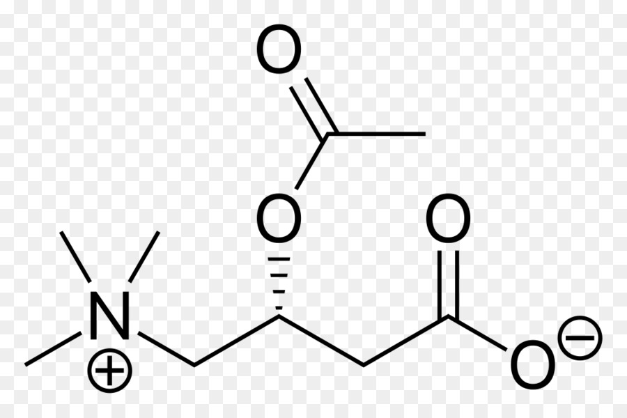 Estrutura Química，Molécula PNG