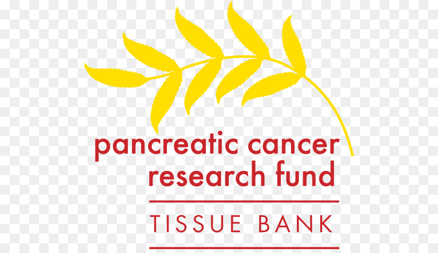 Investigação，Lustgarten Fundação Para O Câncer De Pâncreas De Pesquisa PNG